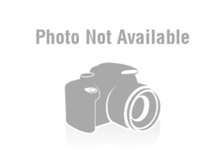 Lovable Retriever Puppies for Sale Per...