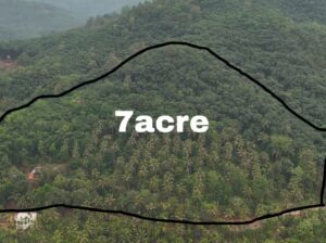 7 Acre Farm Land with House & Income-Generating Plantation for Sale – Road & Water Access