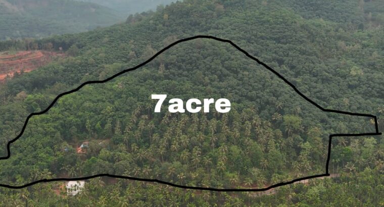 7 Acre Farm Land with House & Income-Generating Plantation for Sale – Road & Water Access