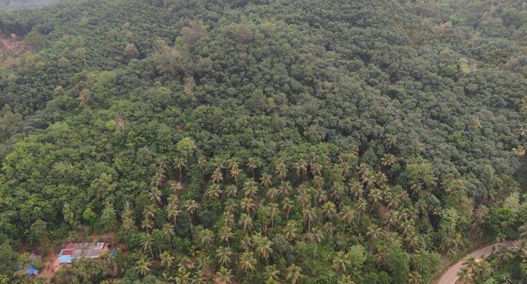 7 Acre Farm Land with House & Income-Generating Plantation for Sale – Road & Water Access