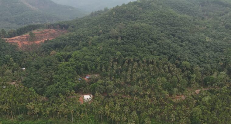 7 Acre Farm Land with House & Income-Generating Plantation for Sale – Road & Water Access