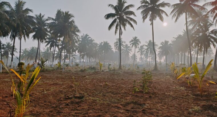 PROJECT NAME: THE COUNTRY VILLAGE FARM LAND LOCATION: PAVUNJUR, MADURANTHAGAM ECR ROAD PLOT SIZE