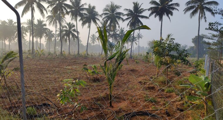 PROJECT NAME: THE COUNTRY VILLAGE FARM LAND LOCATION: PAVUNJUR, MADURANTHAGAM ECR ROAD PLOT SIZE