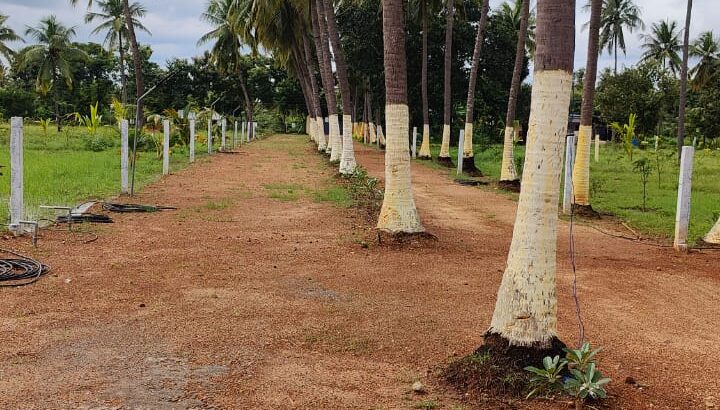 PROJECT NAME: THE COUNTRY VILLAGE FARM LAND LOCATION: PAVUNJUR, MADURANTHAGAM ECR ROAD PLOT SIZE