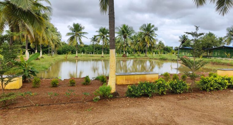 PROJECT NAME: THE COUNTRY VILLAGE FARM LAND LOCATION: PAVUNJUR, MADURANTHAGAM ECR ROAD PLOT SIZE