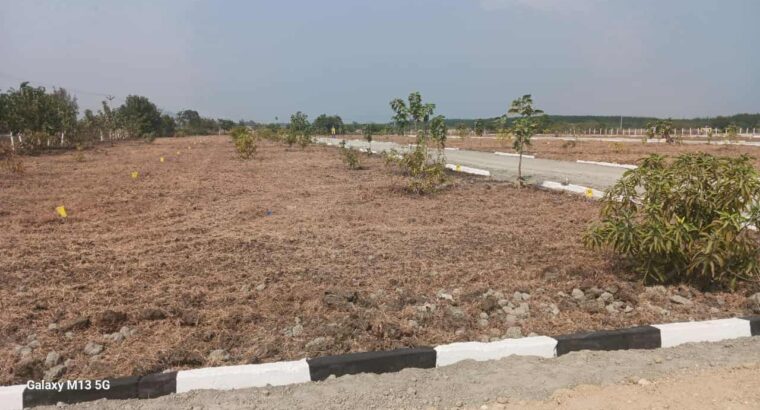 Plots in Thenkodipakkam, on TINDIVANAM-PONDICHERRY HIGHWAY