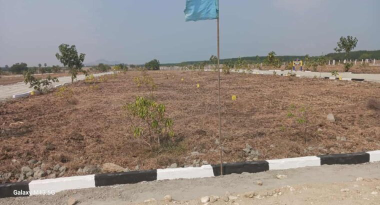 Plots in Thenkodipakkam, on TINDIVANAM-PONDICHERRY HIGHWAY