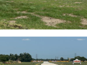 Plots for sale