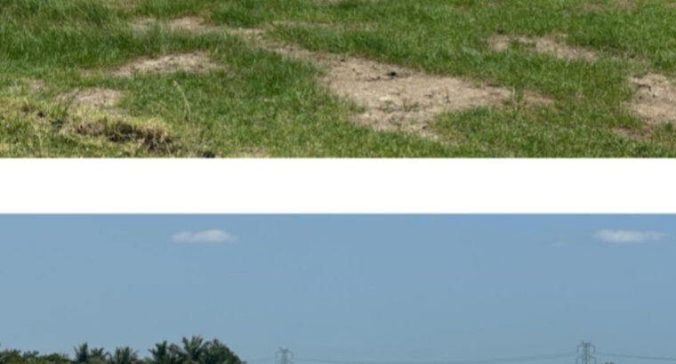 Plots for sale