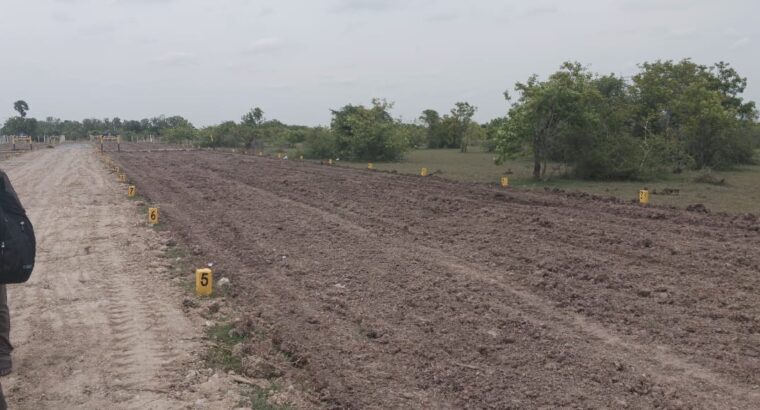 DTCP Approved Residential Plots for Sale in Olakkur | GR Property Munnakulam | Starting ₹599/Sq.ft