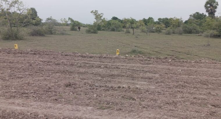DTCP Approved Residential Plots for Sale in Olakkur | GR Property Munnakulam | Starting ₹599/Sq.ft