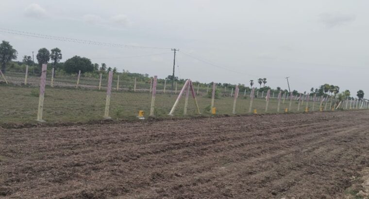 DTCP Approved Residential Plots for Sale in Olakkur | GR Property Munnakulam | Starting ₹599/Sq.ft