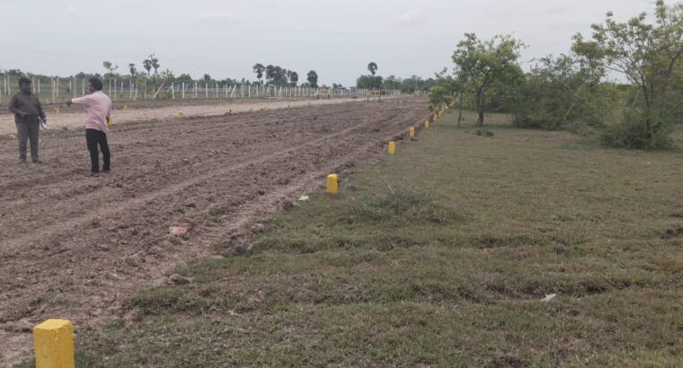 DTCP Approved Residential Plots for Sale in Olakkur | GR Property Munnakulam | Starting ₹599/Sq.ft