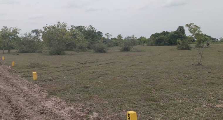 DTCP Approved Residential Plots for Sale in Olakkur | GR Property Munnakulam | Starting ₹599/Sq.ft