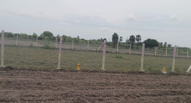 DTCP Approved Residential Plots for Sale in Olakkur | GR Property Munnakulam | Starting ₹599/Sq.ft