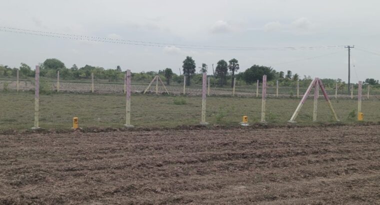 DTCP Approved Residential Plots for Sale in Olakkur | GR Property Munnakulam | Starting ₹599/Sq.ft