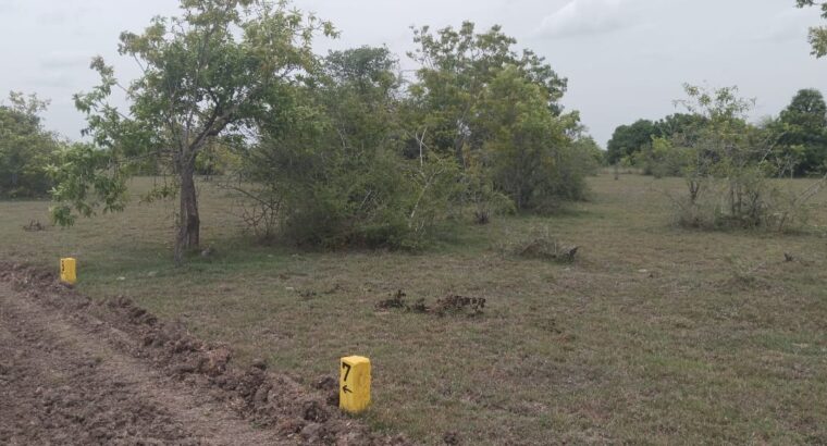 DTCP Approved Residential Plots for Sale in Olakkur | GR Property Munnakulam | Starting ₹599/Sq.ft