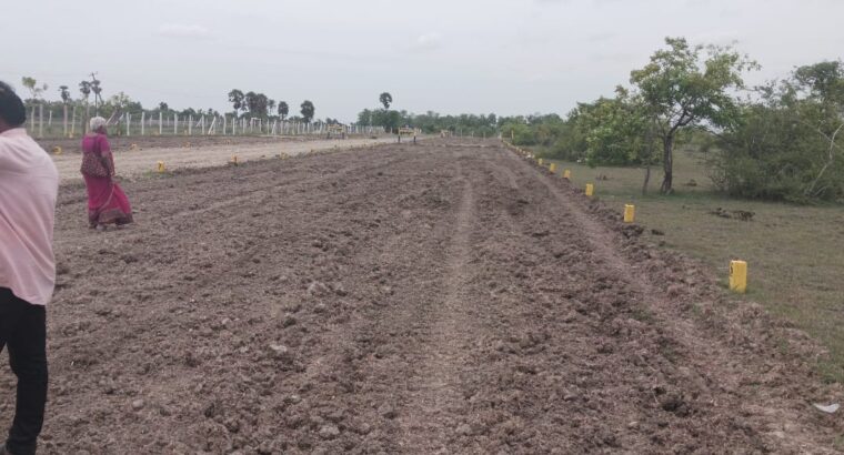 DTCP Approved Residential Plots for Sale in Olakkur | GR Property Munnakulam | Starting ₹599/Sq.ft
