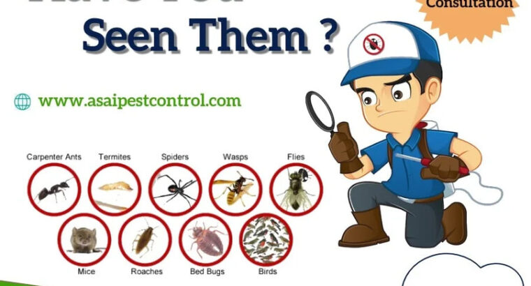 Pest Control – A SAI PEST CONTROL
